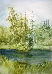 2017_05_18_Viola_Insel_klein