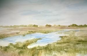 2017_05_20_Viola_Moor2_klein