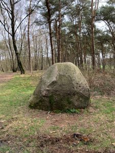 Read more about the article Bitte nicht über die Steine stolpern