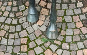 Mehr über den Artikel erfahren Warwick Rex